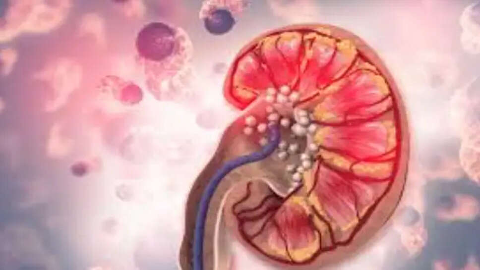 சிறுநீரகம்