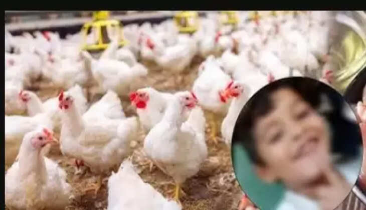 பொதுமக்களே உஷார்... பறவைக்காய்ச்சலால் 2 வயது சிறுமி பலி&hellip; சுகாதாரத்துறை எச்சரிக்கை!&nbsp;