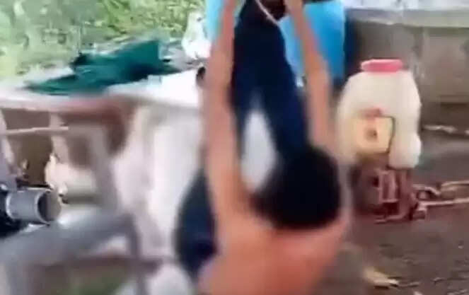 தலைகீழாக கட்டி அடித்தல்