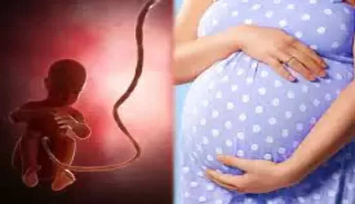 கர்ப்பிணி