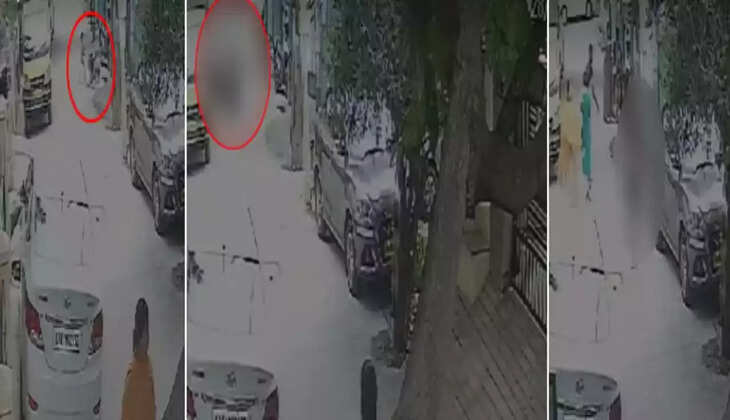 சிறுமி நாய்