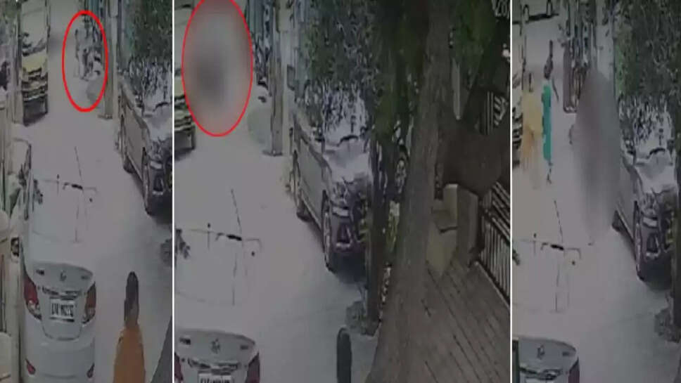 சிறுமி நாய்