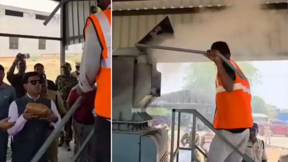 கஞ்சா எரித்து அழிப்பு