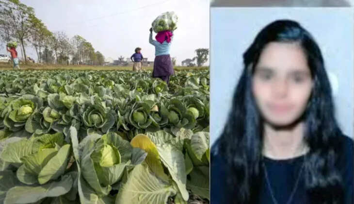 முட்டைக்கோஸ்