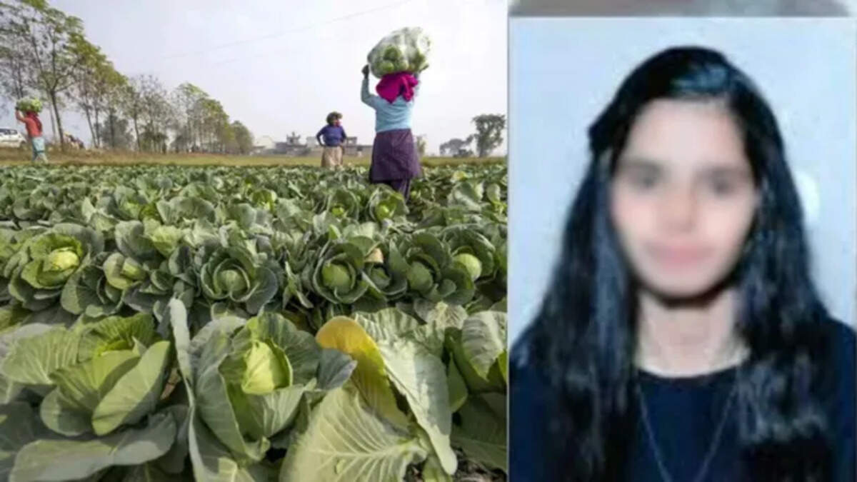 முட்டைக்கோஸ்