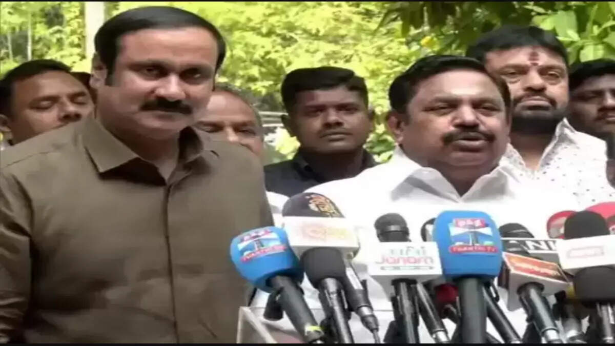 அன்புமணி