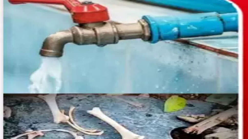 குடிநீரில் எலும்பு