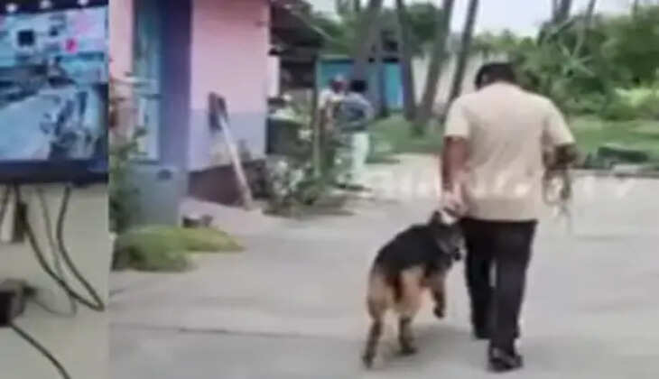 நாய்