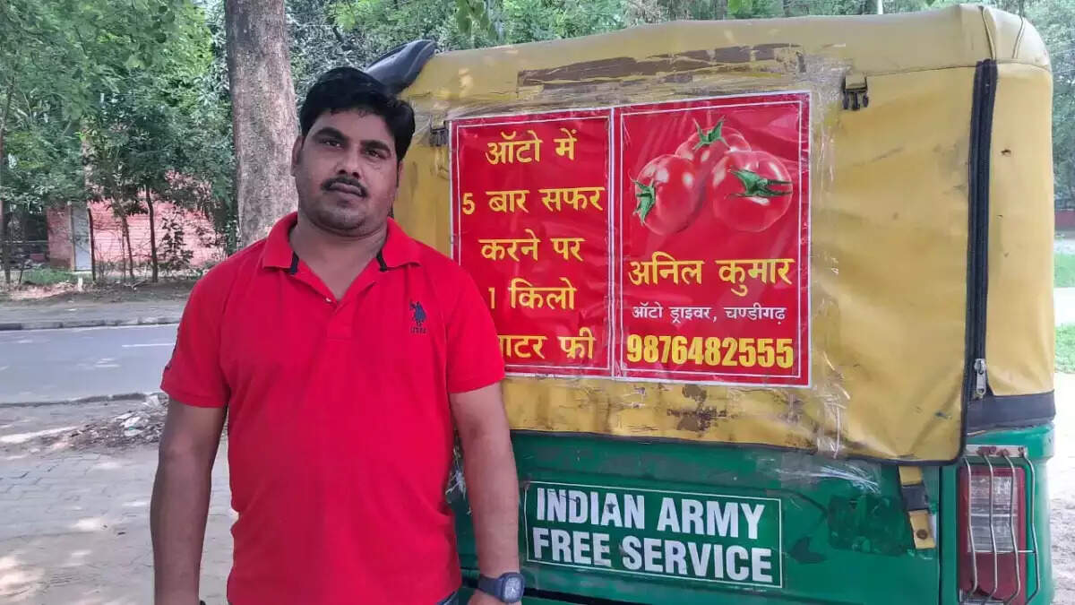 ஆட்டோ தக்காளி