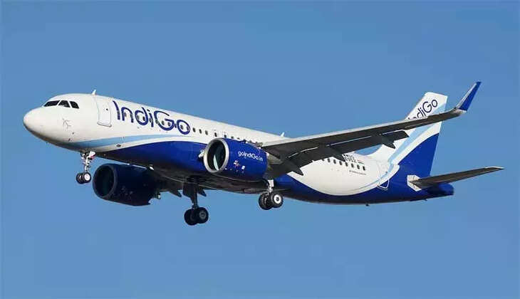 இண்டிகோ