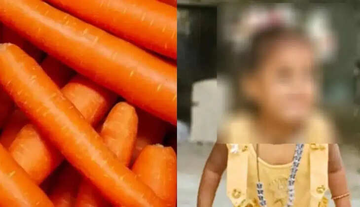 லித்திஷா