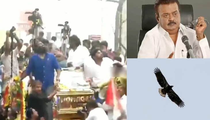 கேப்டன்