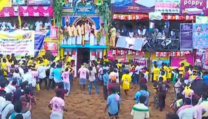 ஜல்லிக்கட்டு