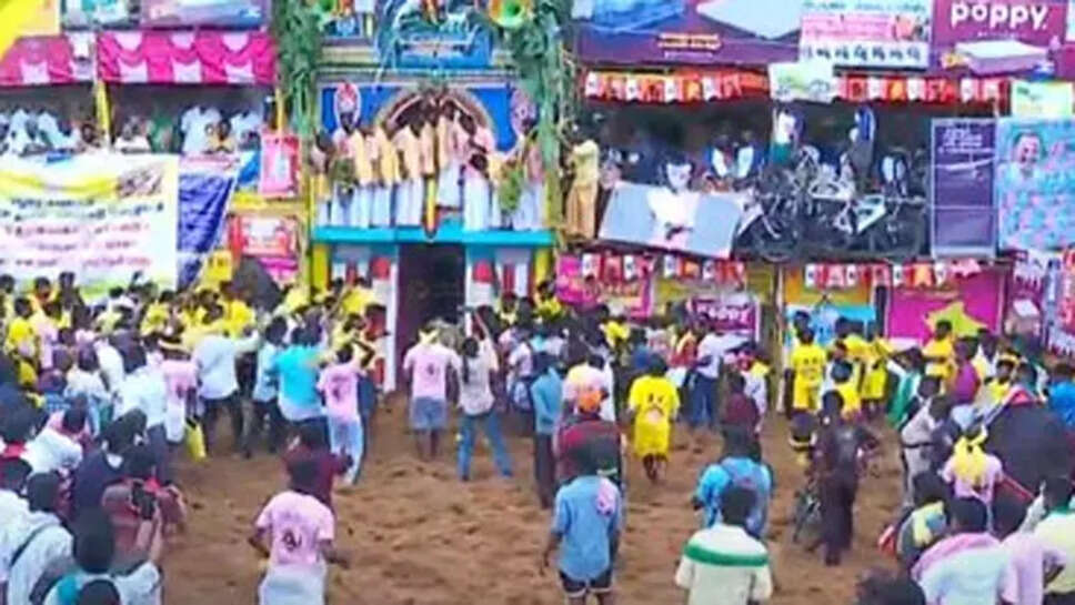 ஜல்லிக்கட்டு