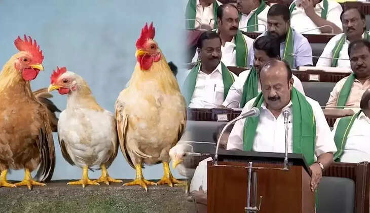 நாட்டுக் கோழி