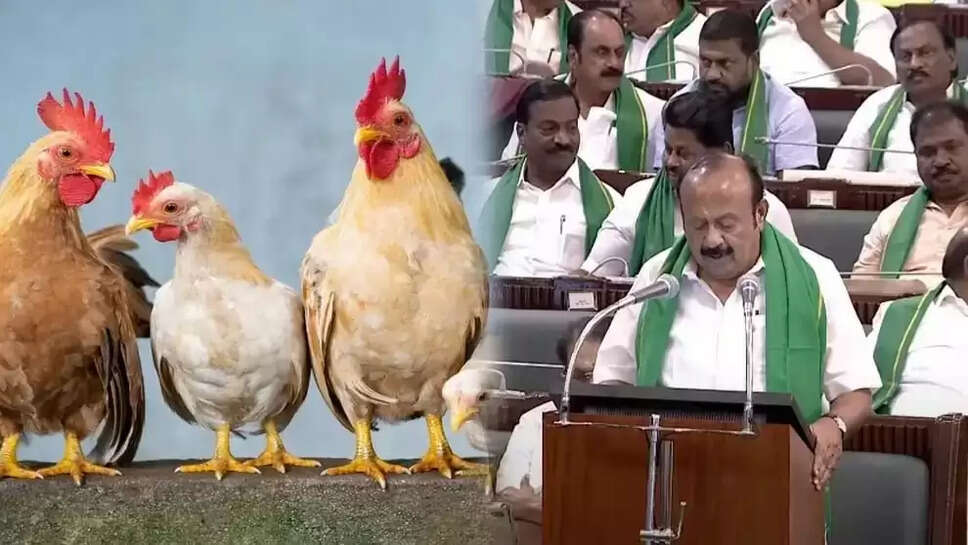 நாட்டுக் கோழி