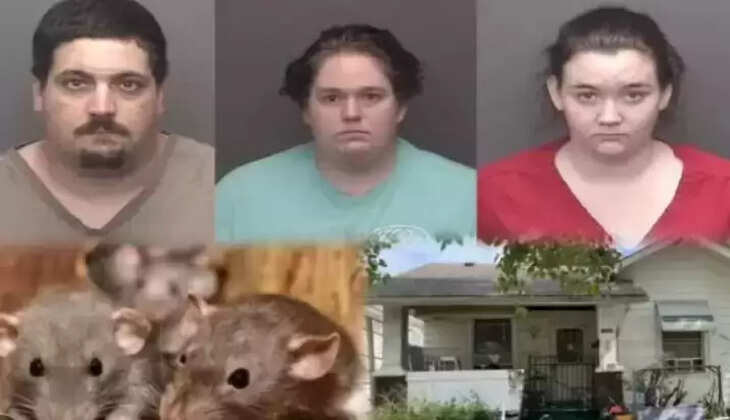 அதிர்ச்சி... 6 மாதக் கைக்குழந்தையை 50 க்கும் மேற்பட்ட இடங்களில் கடித்த எலிகள்!