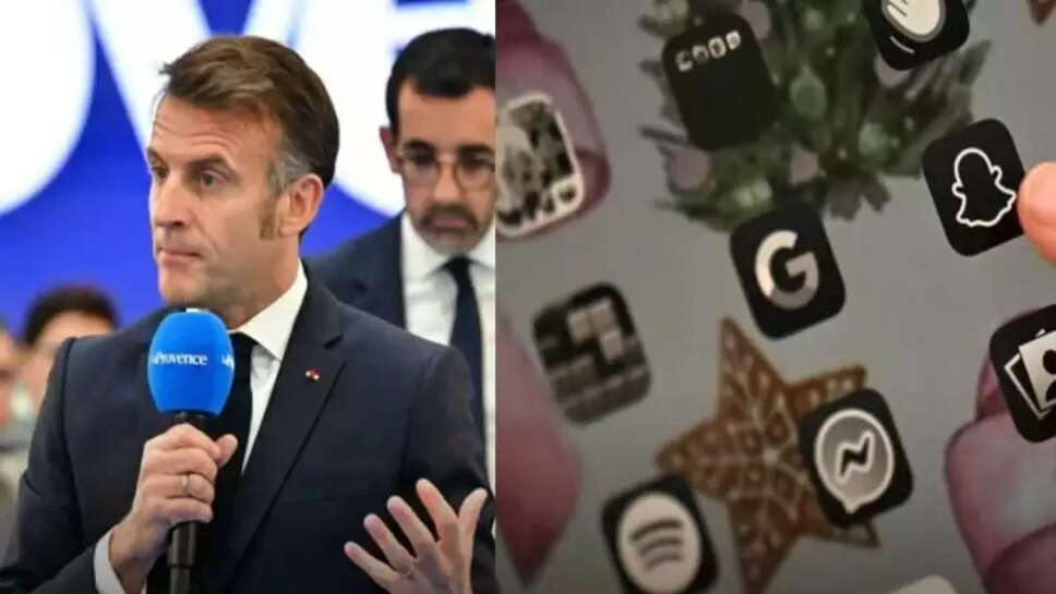 பிரான்ஸ் சமூகவலைத்தளம்