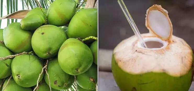 இளநீர்