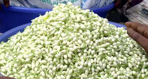 மல்லிகை