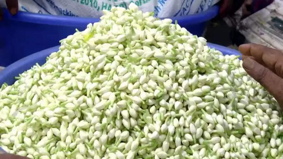 மல்லிகை