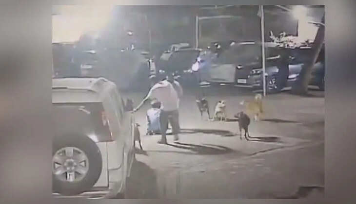  பாதுகாவலர் &nbsp;ஏழெட்டு தெருநாய்கள் கடித்து குதறல்