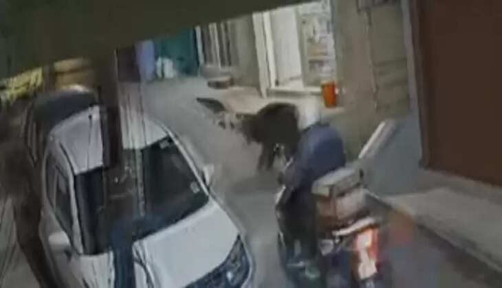 மக்களை துரத்திய கரடி