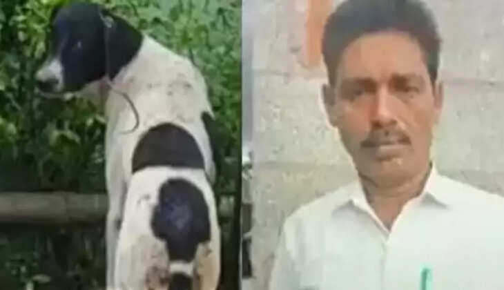 முத்துகிருஷ்ணன்