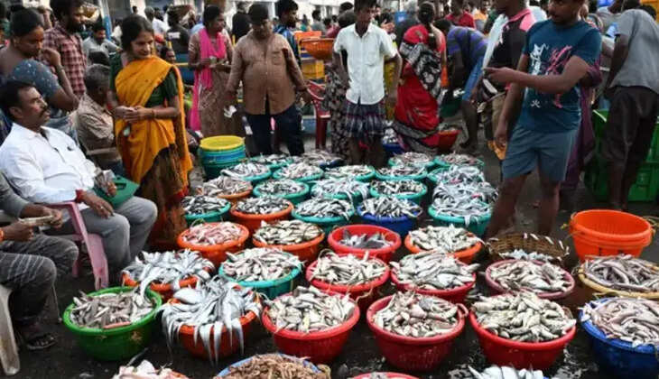 மீன் காசிமேடு