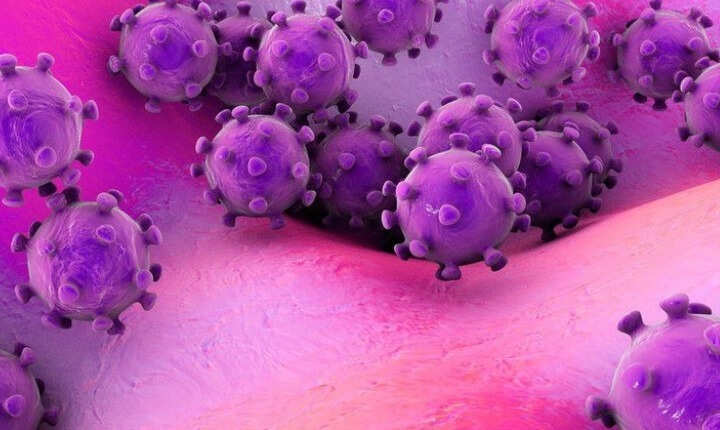 மார்பர்க் வைரஸ்