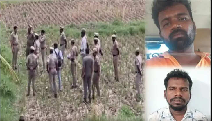 கோவை