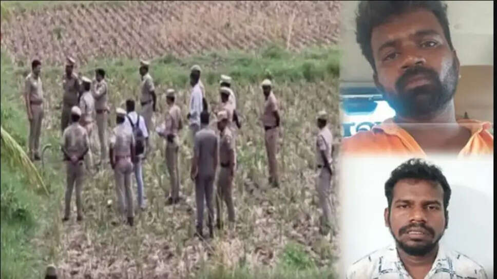 கோவை