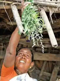 காப்பு கட்டுதல்