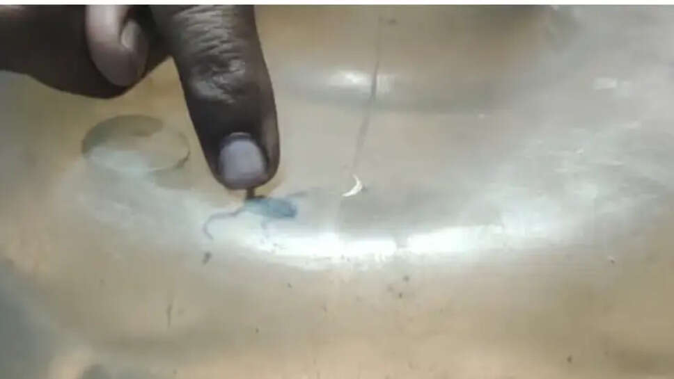 குடிநீரில் தவளை