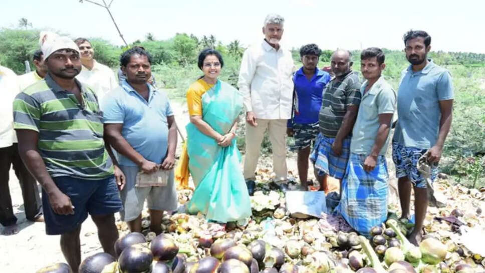 நெகிழ்ச்சி