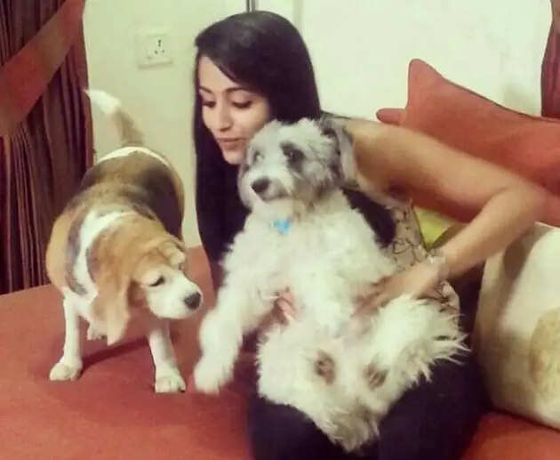 நடிகை த்ரிஷா