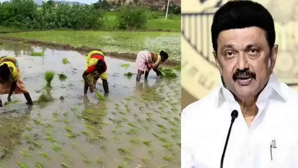 நன்னிலம் விவசாயம் விவசாயி