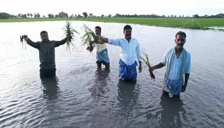 விவசாயி