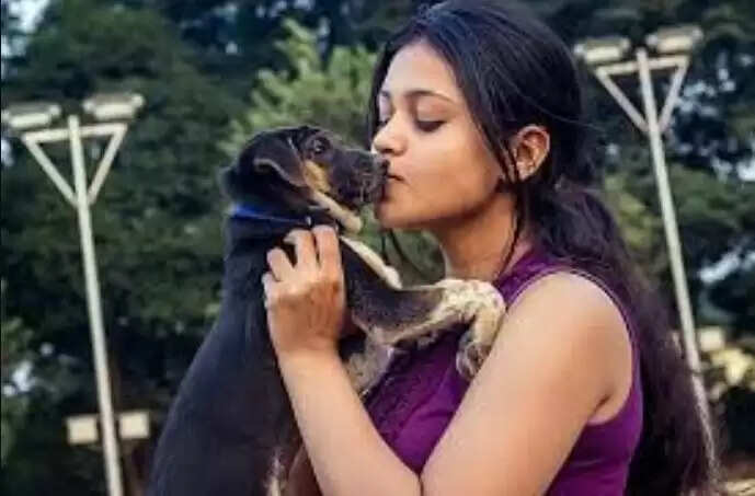 செல்லப் பிராணி வளர்ப்பு நாய்