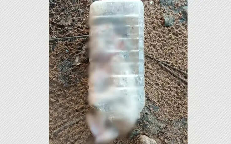 பாட்டில்கள்