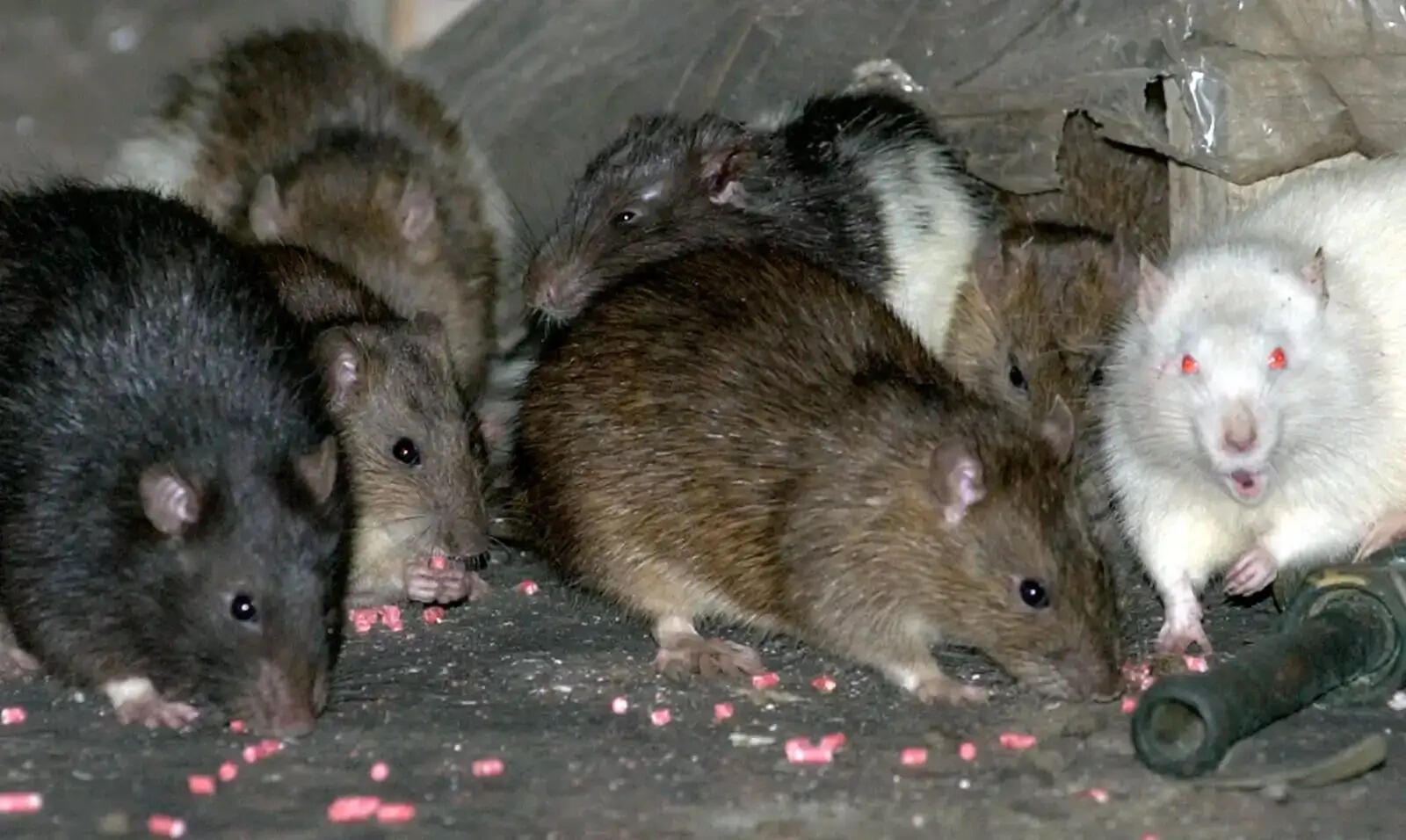 வேலைவாய்ப்பு 