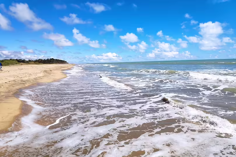 வேளாண்கண்ணி