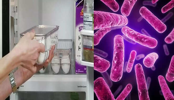 ஃப்ரிட்ஜில் முட்டை