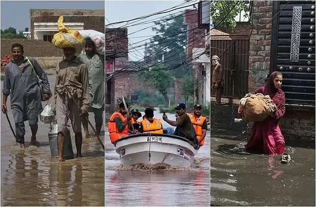 பாகிஸ்தான்