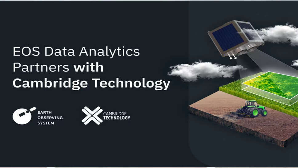 டேட்டா அனாலிஸ்ட்