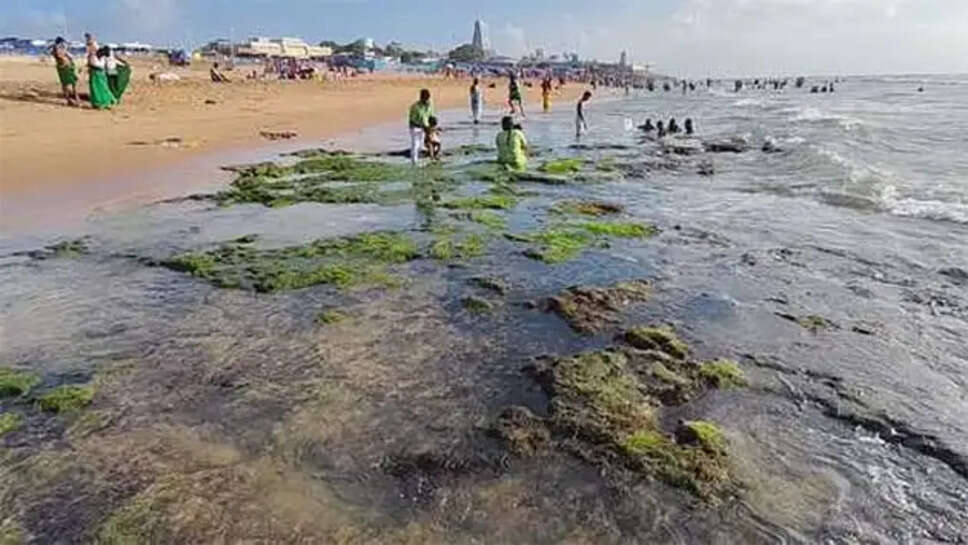 திருச்செந்தூரில் 50 அடி தூரம் கடல் உள்வாங்கியது