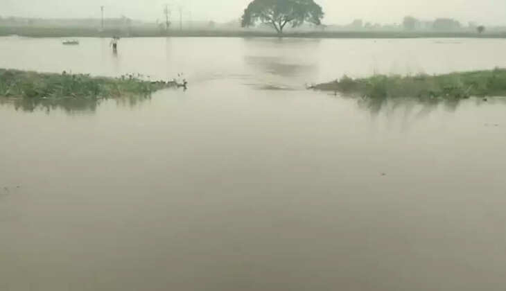 கனமழை நீரில் மூழ்கிய பயிர்