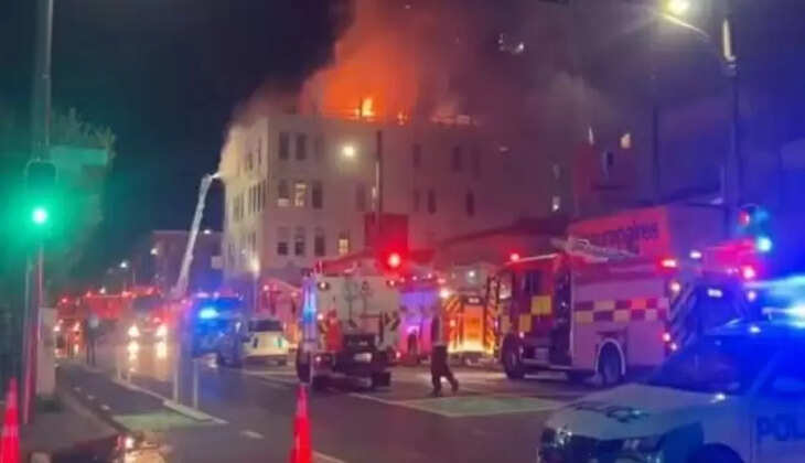 நியூசிலாந்து 