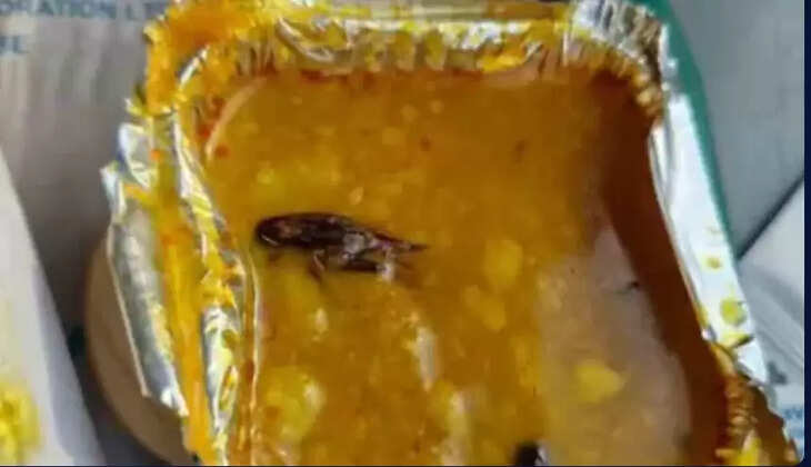 ரயில் உணவில் கரப்பான் பூச்சி