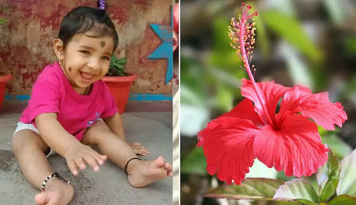 செம்பருத்தி